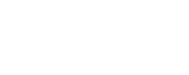 VAST Exim Logo